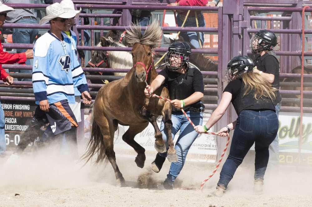 SVJETLANA MLINAREVIC CARILLON ARCHIVES
Three junior riders try to wrestle a pony so that one person can get on during the wild pony races event at the Richer Rough Stock Rodeo in 2024.