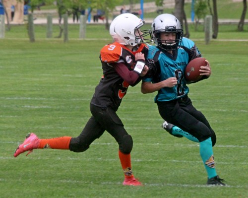 An Eastman U13 player looks for the edge during a game against the Sunrise Coyotes. (Cassidy Dankochik The Carillon)