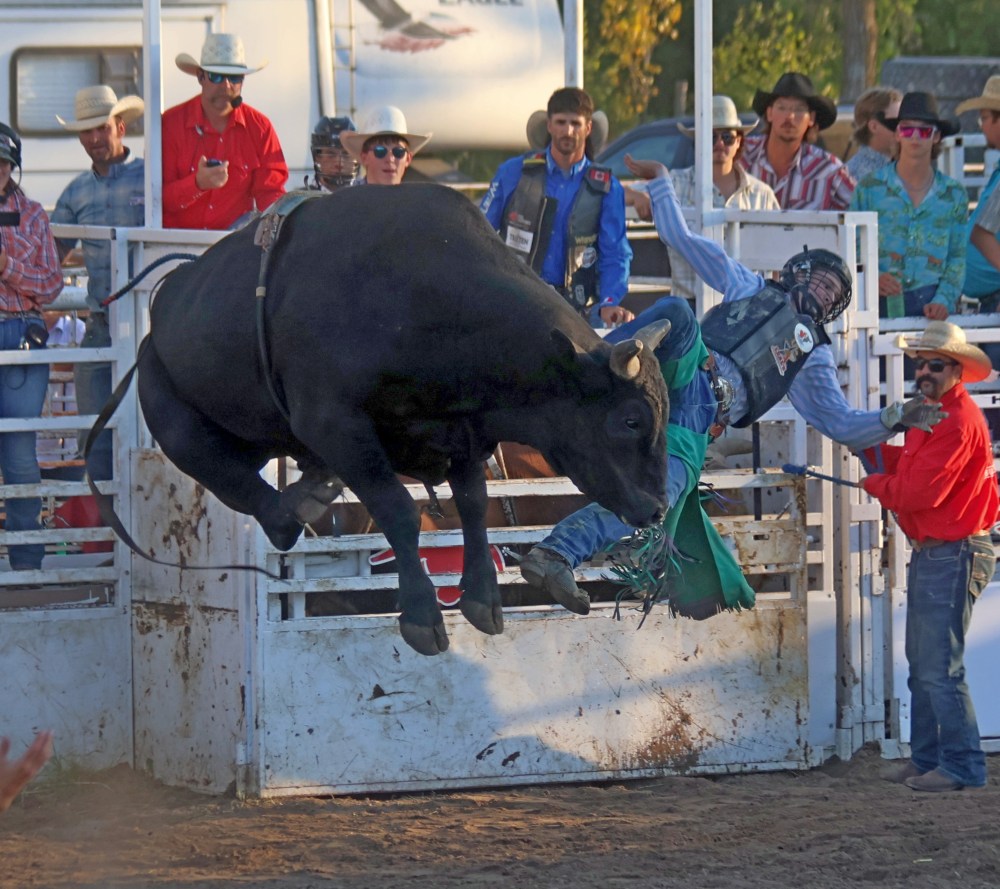 Fans packed into Grunthal for Crossfire Bullriding's Bull Riders of Canada invitational Aug. 14/15. (Cassidy Dankochik The Carillon)