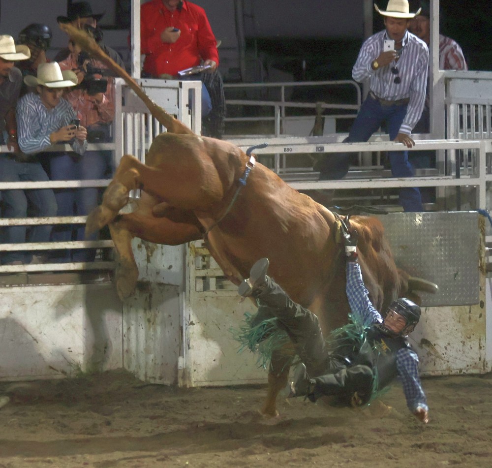 Fans packed into Grunthal for Crossfire Bullriding's Bull Riders of Canada invitational Aug. 14/15. (Cassidy Dankochik The Carillon)