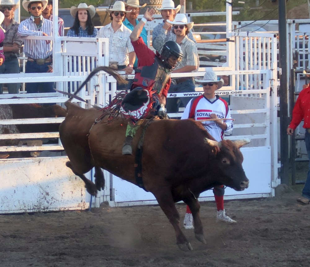 Fans packed into Grunthal for Crossfire Bullriding's Bull Riders of Canada invitational Aug. 14/15. (Cassidy Dankochik The Carillon)