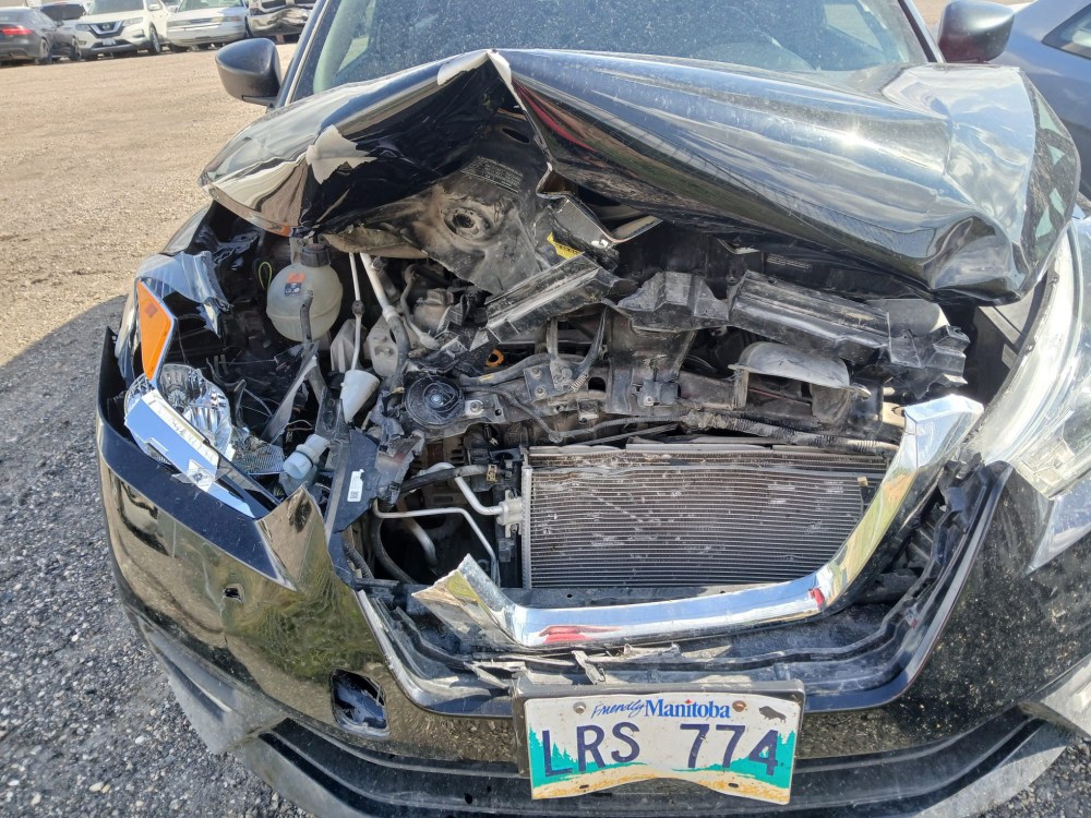 SUBMITTED
Siobhan Maas’ black 2020 Nissan Kicks car’s hood crumpled in after hitting a deer on Aug. 5.