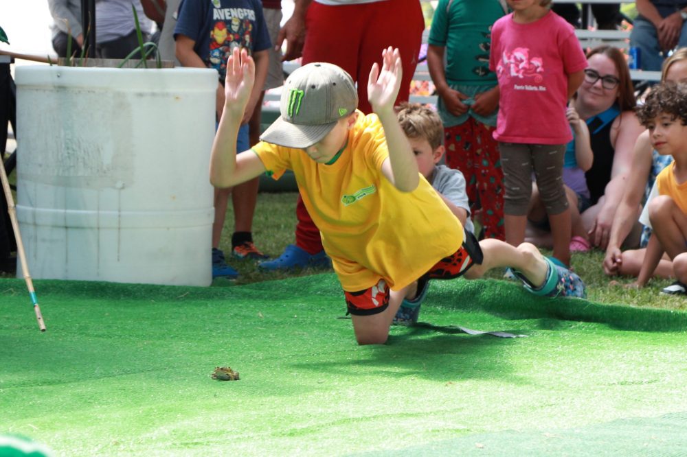 ALEX LAMBERT CARILLON ARCHIVES
A child attempts to make his frog jump the furthest at the St Pierre Jolys Frog Follies and Agricultural Fair.