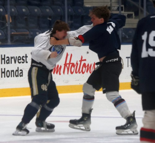 A pair of Pistons players drop the gloves for a fight during a scrimmage. Head coach Paul Dyck called the practice environment this year 
