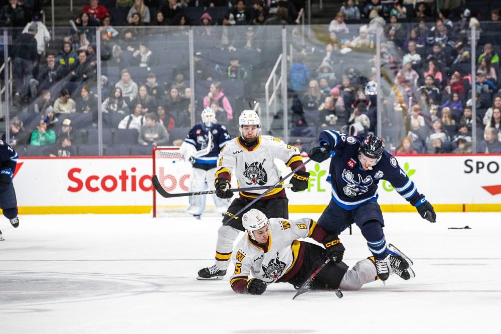 MIKAELA MACKENZIE / FREE PRESS
Manitoba Moose Mason Shaw goes over Chicago Wolf Charles-Alexis Legault as Gleb Trikozov watches in a school day game (with students from early years through high school watching) at the Canada Life Centre on Thursday, Nov. 21, 2024. The Moose will be in Steinbach Oct. 5 for their annual intrasquad game.