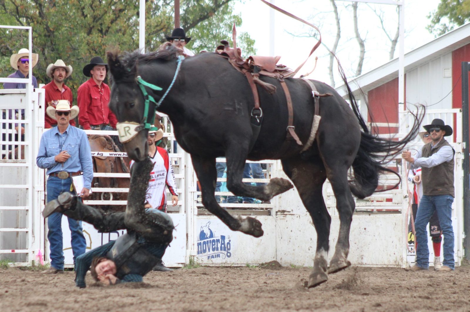 Coretold Rodeo PHOTO GALLERY: Grunthal hosts Heartland Rodeo Association finals – The ...