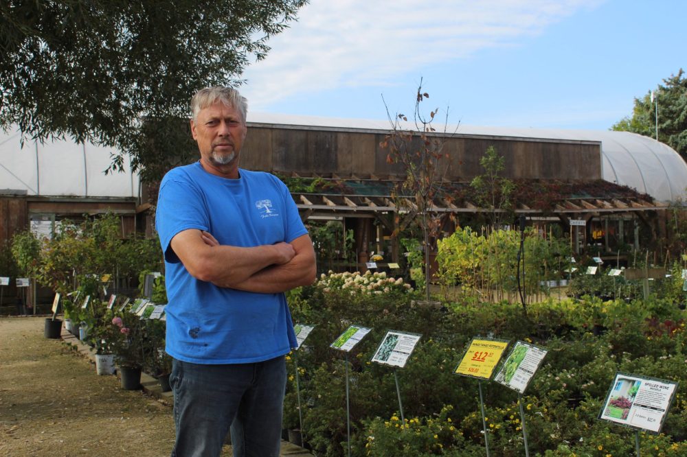 MATTHEW FRANK THE CARILLON
Sheldon Falk, owner of Falk Nurseries, said his usual sales are down 70 percent because of the Canadian Union of Postal Workers ban on flyer delivery.