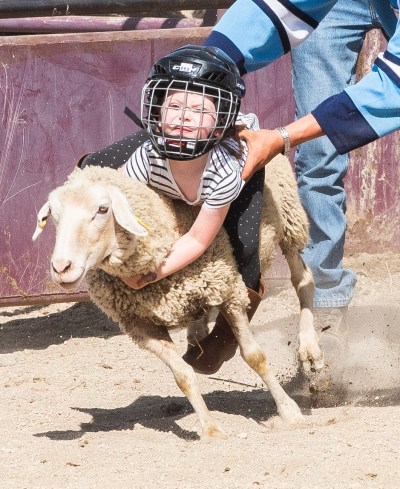SVJETLANA MLINAREVIC CARILLON ARCHIVES 

A four-year-old tries her hardest to hang on during the mutton busting event at the Richer Rough Stock Rodeo in 2024.