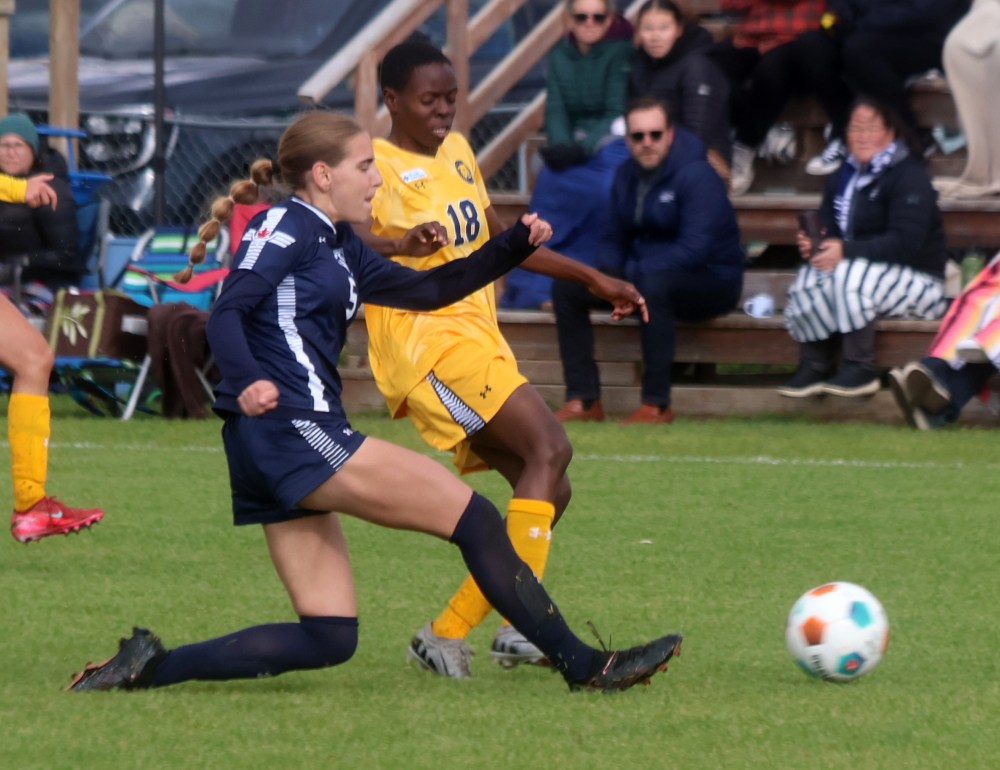 Providence drew with Brandon 2-2 in one of the final games of the MCAC regular season. (Cassidy Dankochik The Carillon)
