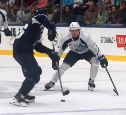Tanner Andrew played in the Manitoba Junior Hockey League, and is in camp with the Moose. He relished the chance to play a pro camp inside an MJHL building this year. (Cassidy Dankochik The Carillon)
