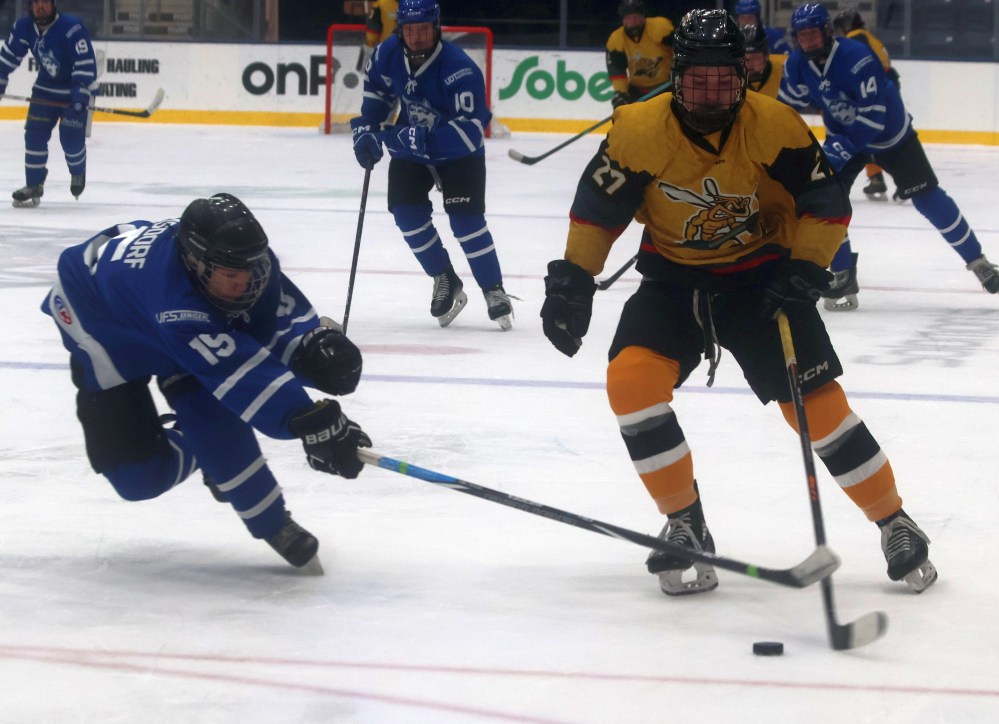 Seven of the Eastman Selects regional teams were in action inside the Southeast Event Centre Oct. 17-19. (Cassidy Dankochik The Carillon)