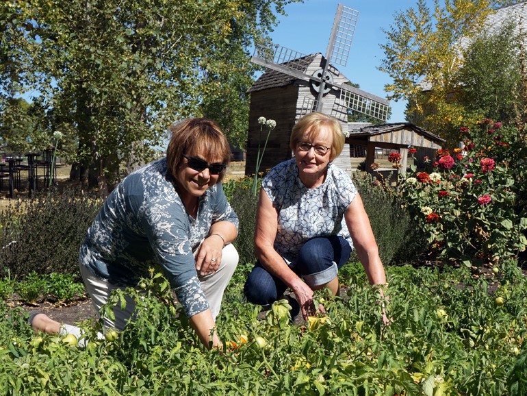 Garden Club members plant and care for the museum vegetable gardens.