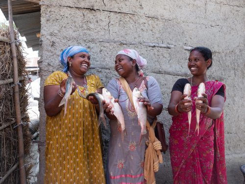 Photo from MCC/Fairpicture photo/Uma Bista
From left: Shova Beshra (33), Kalpana Kumari Marandi(30) and Chanmuni Tudu Satar (31) are showing fish before taking them to the local farmers’ market in Santhal Tole, Nepal on Tuesday, April 23, 2024. They are members of Sanathbha Aaya Arjan Woman Farmers Group, which is a communal fish farm in their village.