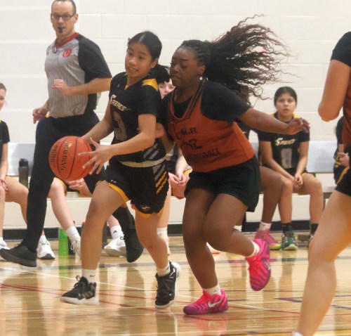 Two players battle for the ball during South Central Athletic Conference action in Steinbach Jan. 7. (Cassidy Dankochik The Carillon)