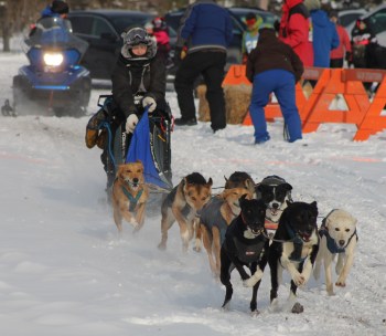GREG VANDERMEULEN CARILLON ARCHIVES 

Dog sledding, pictured at the 2024 event, has always been the reason for the festival.