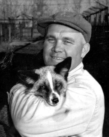 CARILLON ARCHIVES 

Stony Brook Fur Farm manager William P. Wiebe with his pet silver fox.