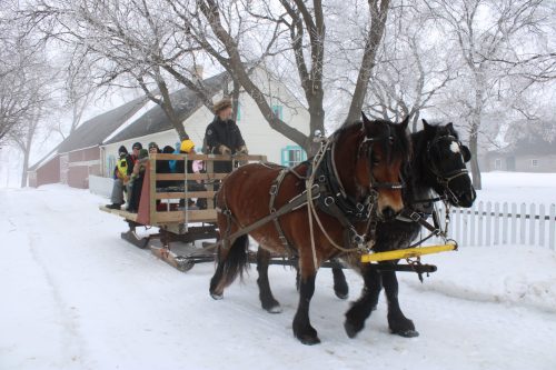 GREG VANDERMEULEN THE CARILLON
Sleigh rides were offered thanks to the Southeast Manitoba Draft Horse Association.