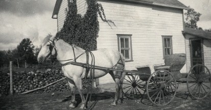 Nellie, the horse, patiently waiting at the teacherage, ca 1945.