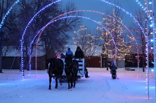 Enjoy roasting marshmallows around an outdoor fire with family and friends at the winter carnival.