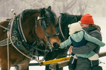 The Winter Carnival provided opportunities for visitors to learn about animals and their relationships with us.
