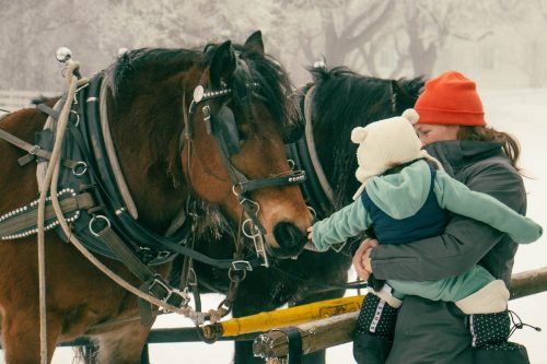 The Winter Carnival provided opportunities for visitors to learn about animals and their relationships with us.
