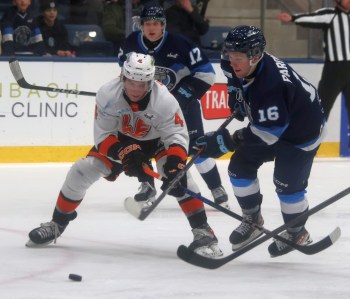 Connor Paronuzzi. (Cassidy Dankochik The Carillon)