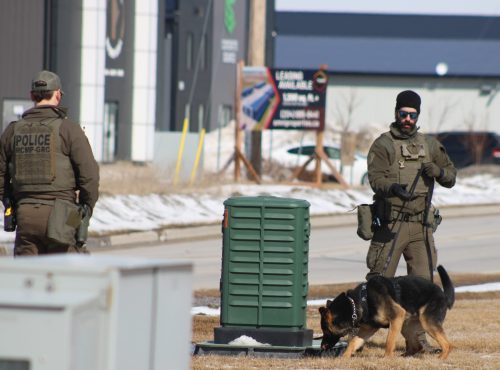 GREG VANDEMEULEN THE CARILLON 

RCMP dog Sega took time to hone his skills with handlers on Tuesday, scouring the area near The Carillon office on Industrial Drive as part of a drill. Const. Francois Raymond kept his hand on the leash as he and Const. Jordan Lorenz took the dog through its paces. Its tracking skills were put to the test, and Sega completed the task before police left the area.