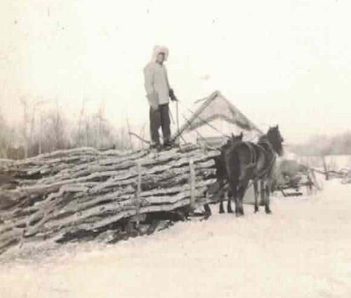 My brother Ben bringing home a load of cut trees, ca 1940s.
