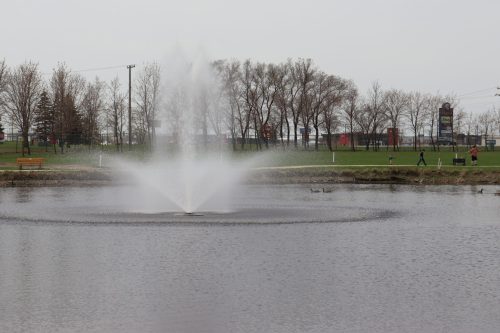 Enjoy a walk around the pond, exploring the sights and sounds of nature in springtime.