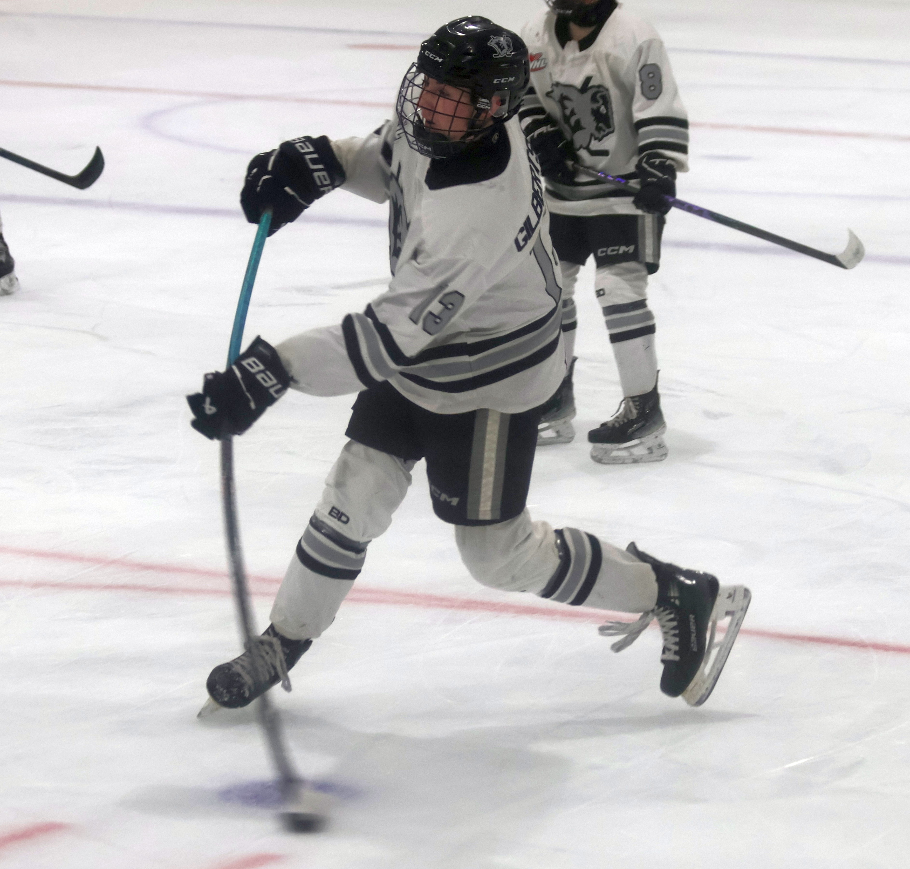 Players from region selected at WHL draft – The Carillon