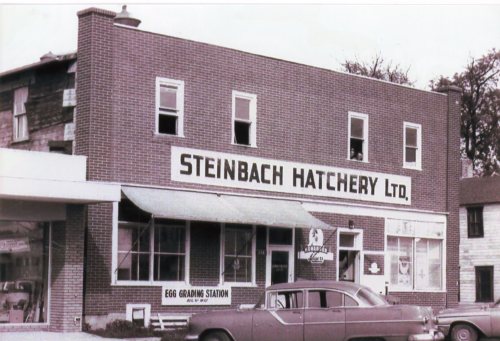 CARILLON ARCHIVES 

Another of Steinbach’s older buildings bit the dust in 1963 when a one-storey, 6,000-square- foot block and brick building replaced the large two-storey structure which had served the Steinbach Hatchery since 1938.