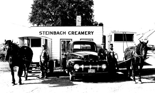 CARILLON ARCHIVES 

Henry Kehler, Bill Sobering and Bill Giesbrecht use two horse drawn rigs and a light delivery truck to deliver homogenized, pasteurized milk to Steinbach’s 2,100 residents daily.