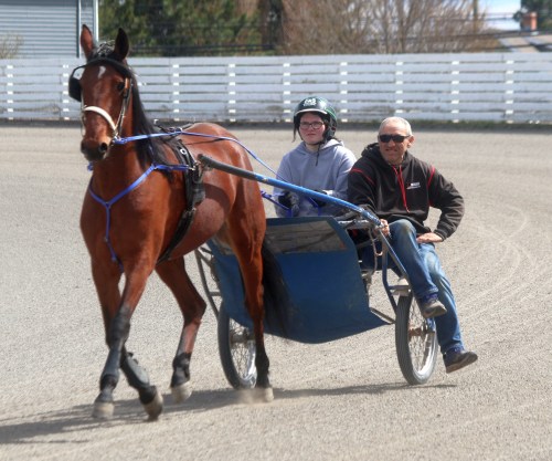 Harness racers get some laps in at the Summerside Raceway. (Cassidy Dankochik The Carillon)