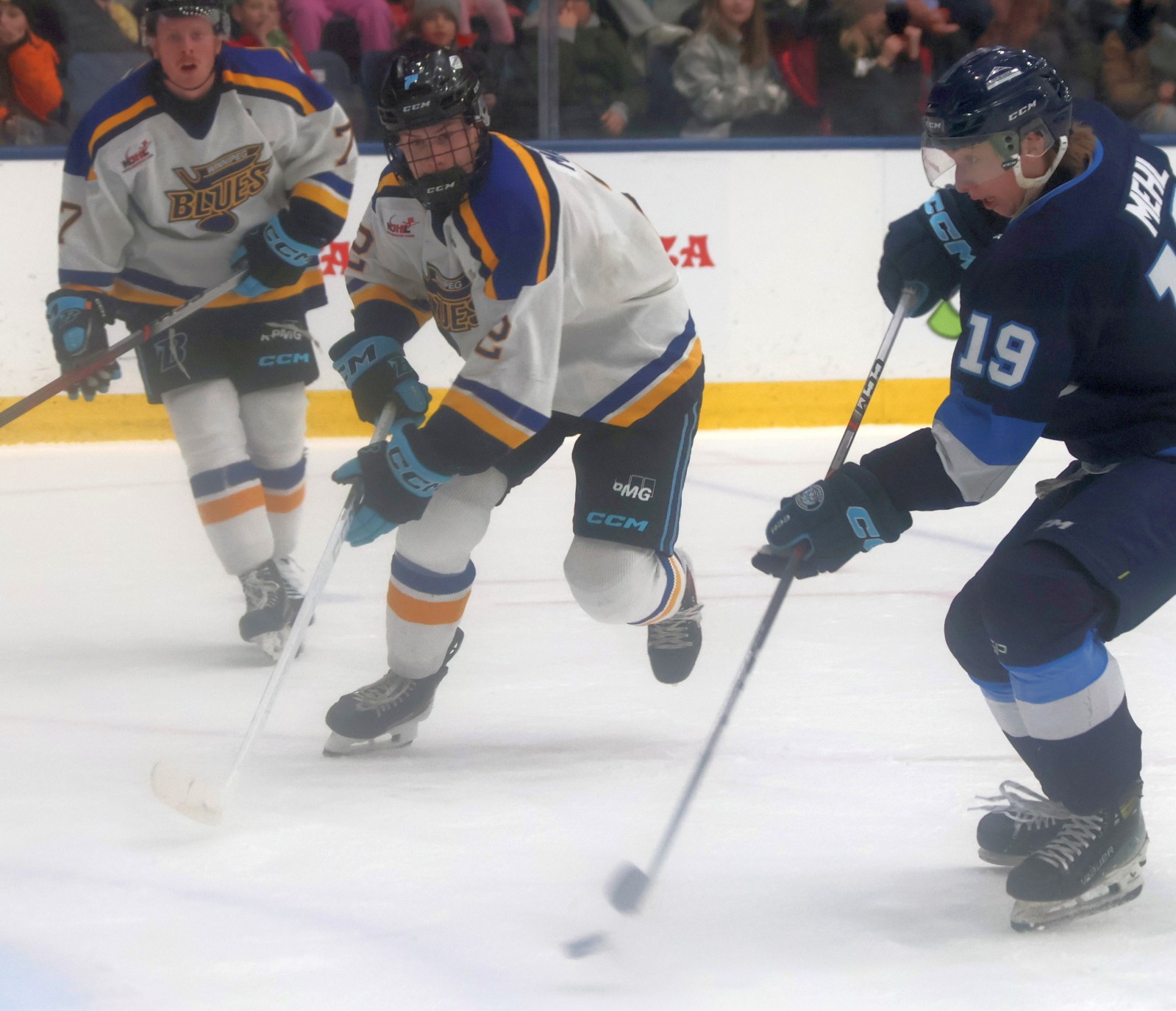 Nighthawks nab Blues assistant captain Fenton Mann