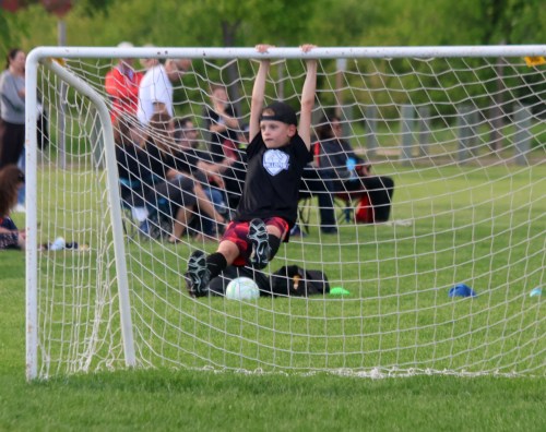 Hanover Soccer hosted a mini-soccer event June 11 at the Steinbach Soccer Park, with over a dozen games in action. (Cassidy Dankochik The Carillon)