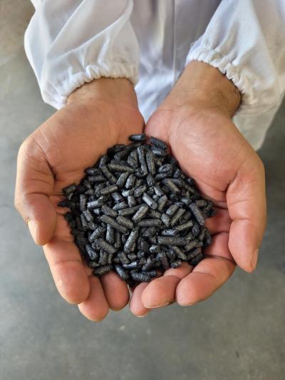 Submitted by Kevin Danner 

An image of biochar, which is made from organic waste that has been burned releasing its oxygen and hydrogen leaving behind covalent bonds of carbon. The biochar can be used in six major industries: construction, asphalt, mining, wastewater, agriculture, and horticulture.