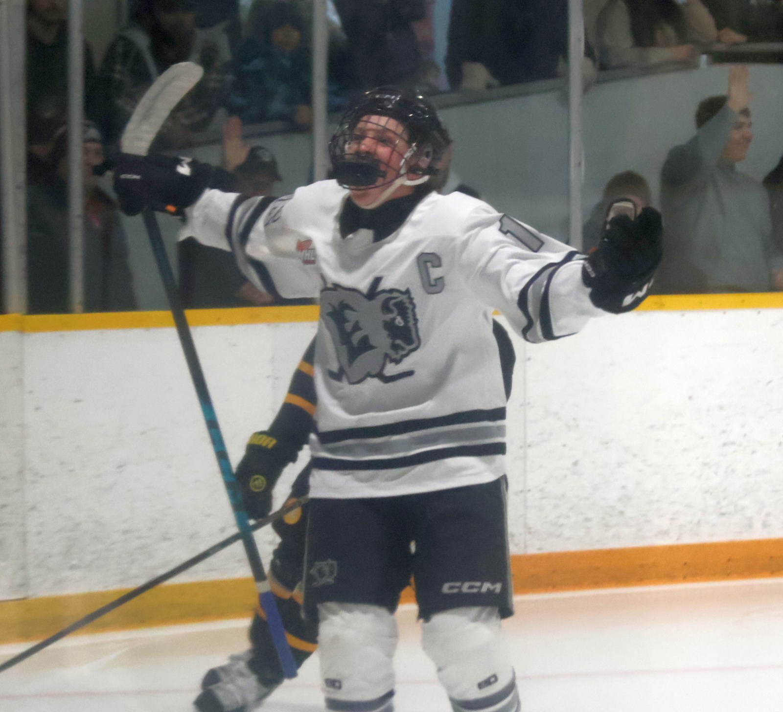 Local players make the cut for Hockey Manitoba