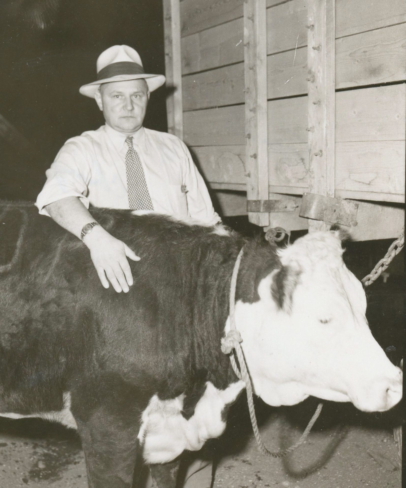 1946 – 2026 Watching Steinbach Grow: Eighty Hanover Ag Fairs follow shaky start