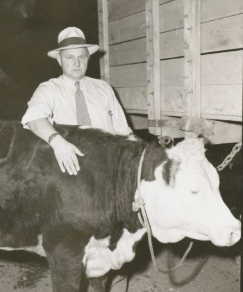 1953 

Steaks on the Hoof 

CARILLON ARCHIVES 

“Carload Frank” Reimer tops the bidding for the 1953 4-H champion steer at the Hanover Fair, ensuring a brusque business at the Reimer Foods meat counter in Steinbach the following week and at the same time launching the tradition of an annual 4-H auction that continued for decades.