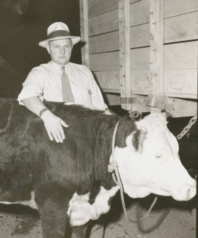 1953 

Steaks on the Hoof 

CARILLON ARCHIVES 

“Carload Frank” Reimer tops the bidding for the 1953 4-H champion steer at the Hanover Fair, ensuring a brusque business at the Reimer Foods meat counter in Steinbach the following week and at the same time launching the tradition of an annual 4-H auction that continued for decades.