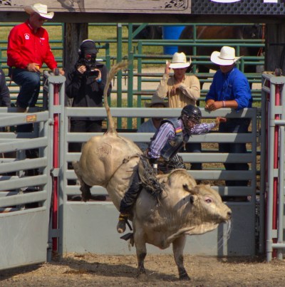 GRAHAM WALKER THE CARILLON
Manitoba Stampede and Exhibition