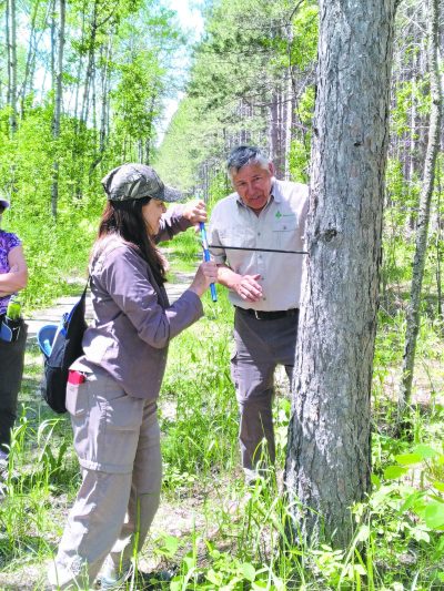 Photos submitted by Bob Austman
Bob Austman teaches a forest tour participant how to use an increment borer, which determines the age of a tree. Tours this year will be offered in May, June, and September.