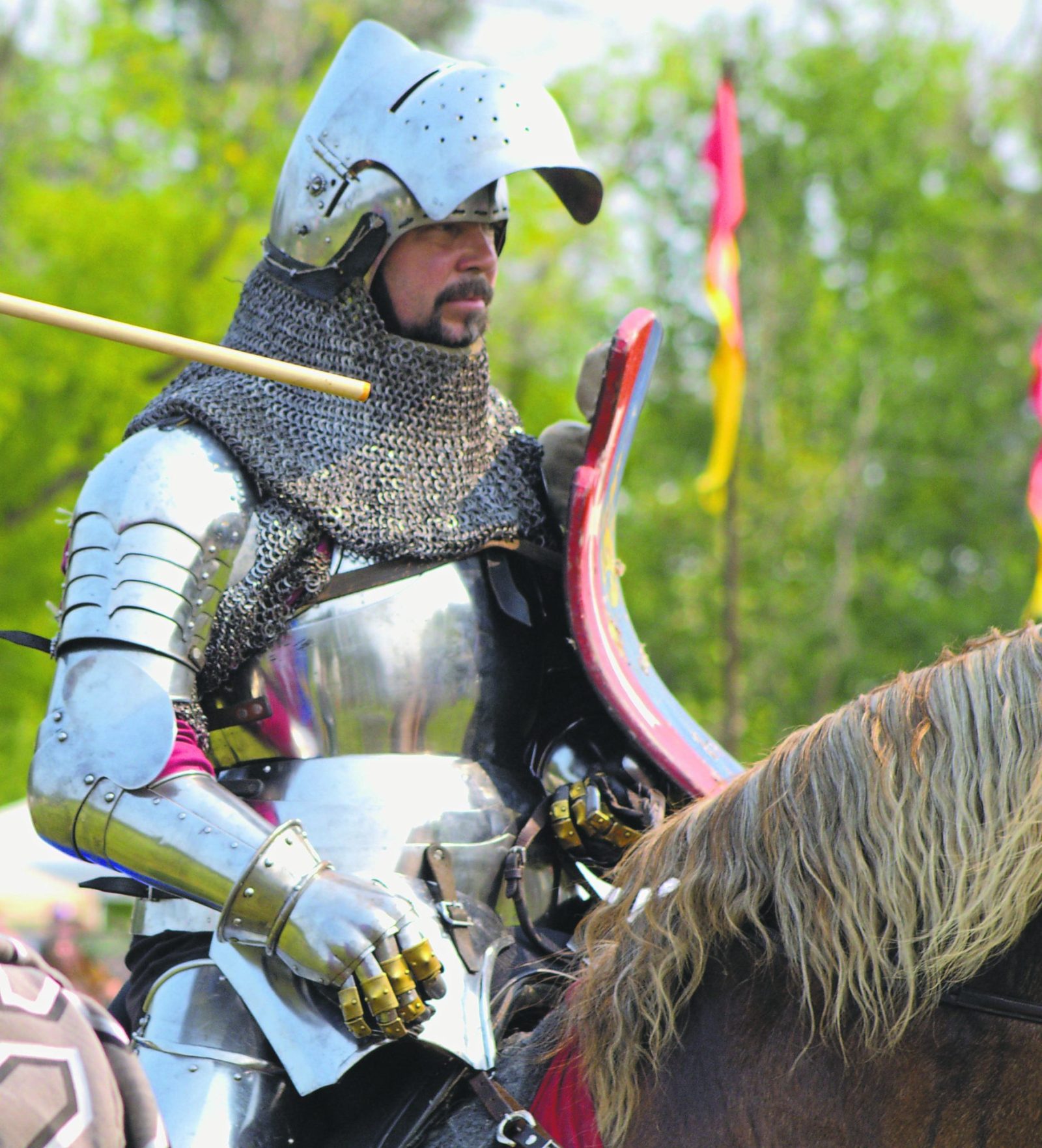 Cooks Creek Medieval festival hosts enthusiastic crowds with Tolkien-UFC blend of feudal fun
