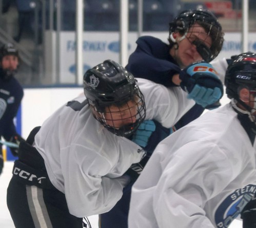 The Niverville Nighthawks and Steinbach Pistons hosted their prospects camp Aug. 21/22. (Cassidy Dankochik The Carillon)