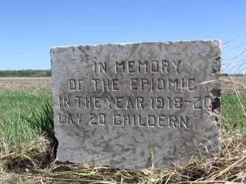 GLEN R. KLASSEN 

Memorial stone in the Hochfeld Cemetery west of Blumenort (East Reserve) commemorates the deaths of 21 children who died of Spanish flu or diphtheria during the epidemics of 1918-1920.