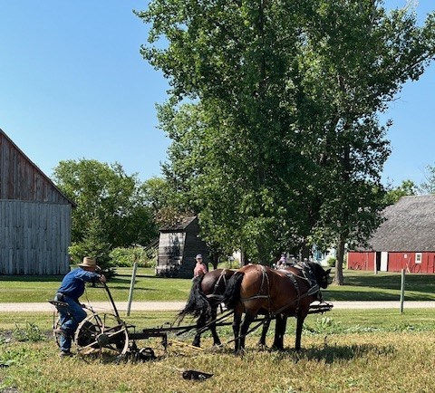 MENNONITE HERITAGE VILLAGE 

Mennonite settlers were often focused on settling the land to create a productive farm for the benefit of their family and their community.
