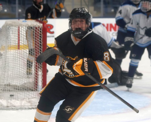 SRSS defeated Selkirk 4-3 in overtime to open the high school hockey league schedule. (Cassidy Dankochik The Carillon)