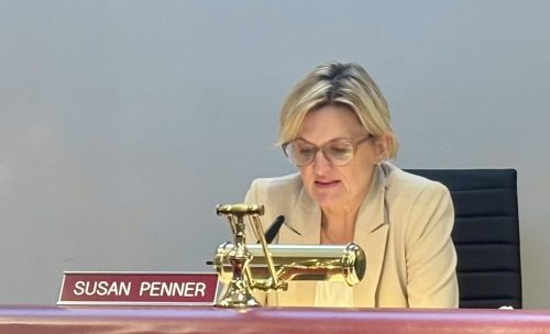 Adi Kapoor The Carillon 

Councillor Susan Penner will be the task force chair created to help senior citizens.