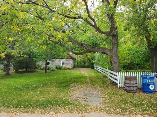MENNONITE HERITAGE VILLAGE 

Autumn is a wonderful time to wander through the MHV village, enjoying comfortable weather and a peaceful environment in thankfulness for our community beginnings.